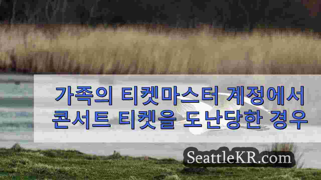 시애틀 뉴스 SeattleKR