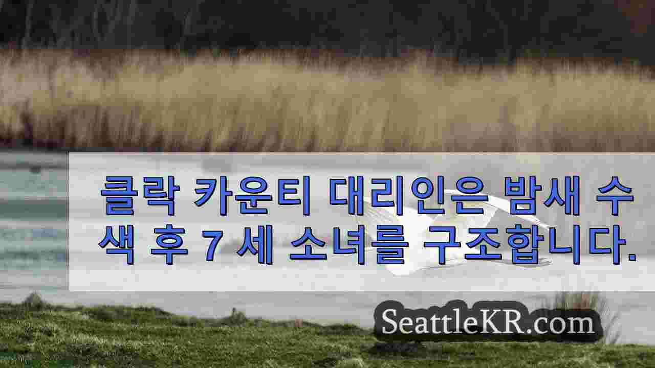 시애틀 뉴스 SeattleKR