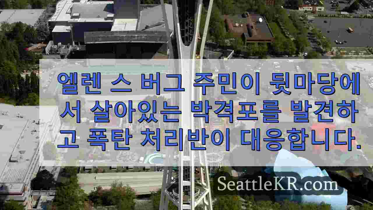 시애틀 뉴스 SeattleKR