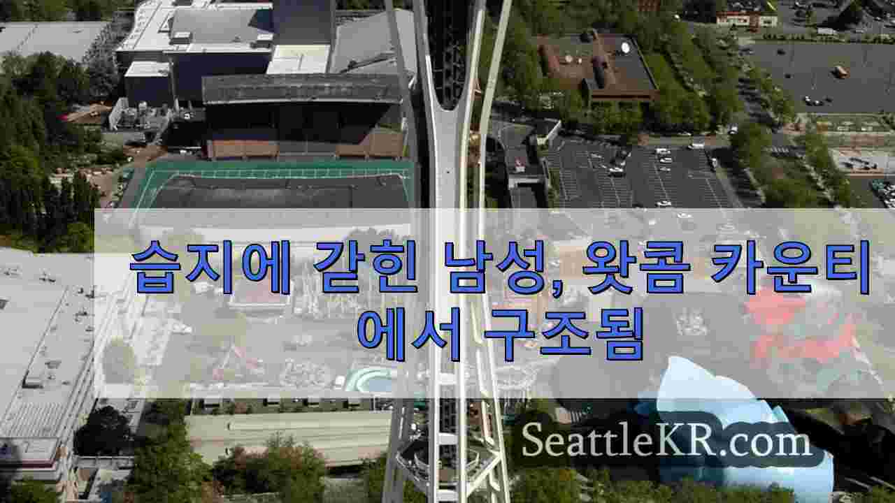 시애틀 뉴스 SeattleKR