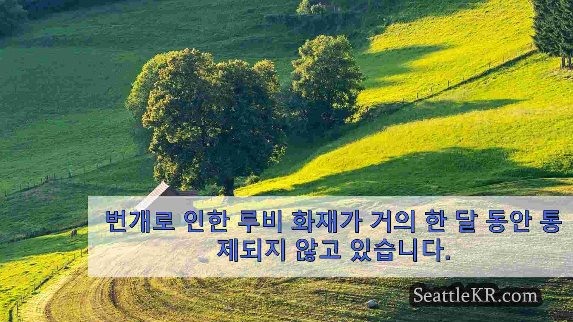 시애틀 뉴스 SeattleKR