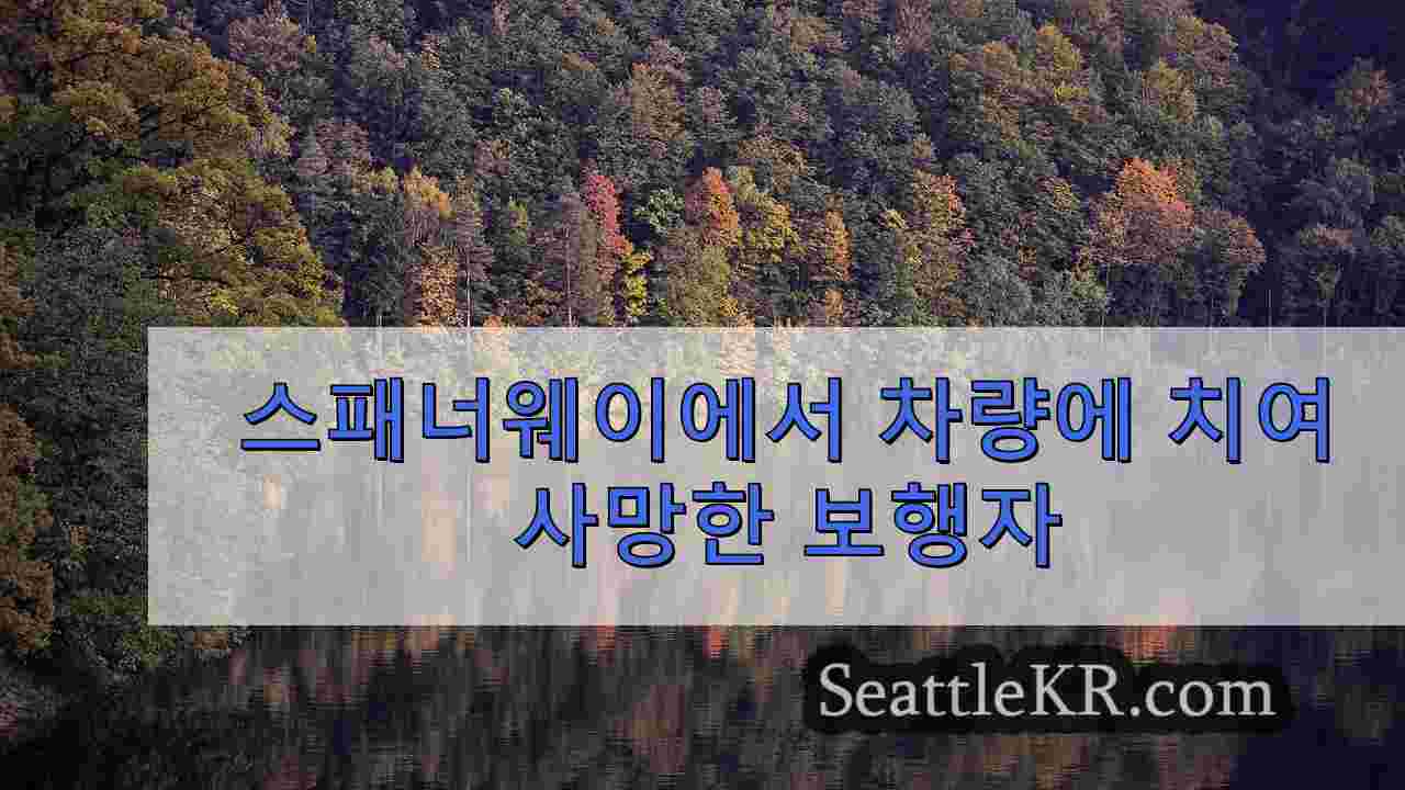 시애틀 뉴스 SeattleKR