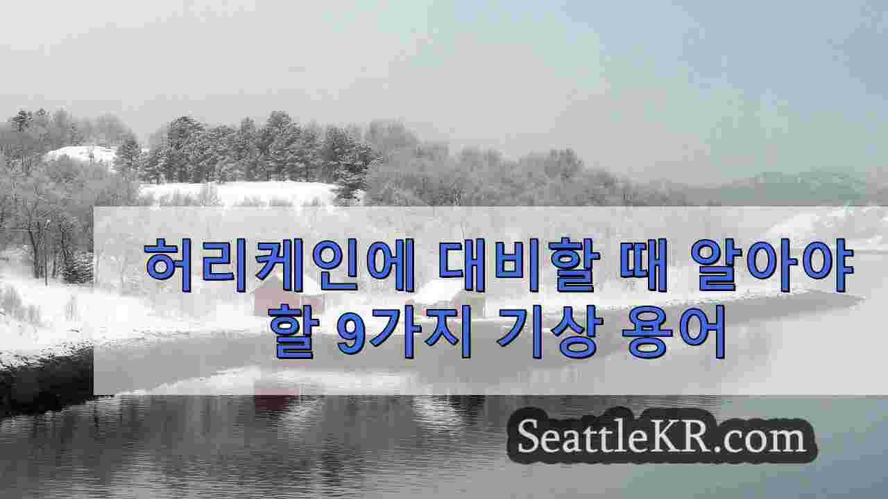 시애틀 뉴스 SeattleKR