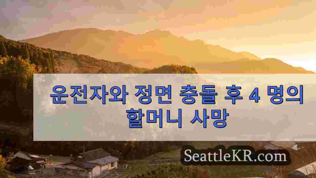 경찰을 피해 달아나려던 운전자와 정면 충돌 후 4명의 할머니 사망