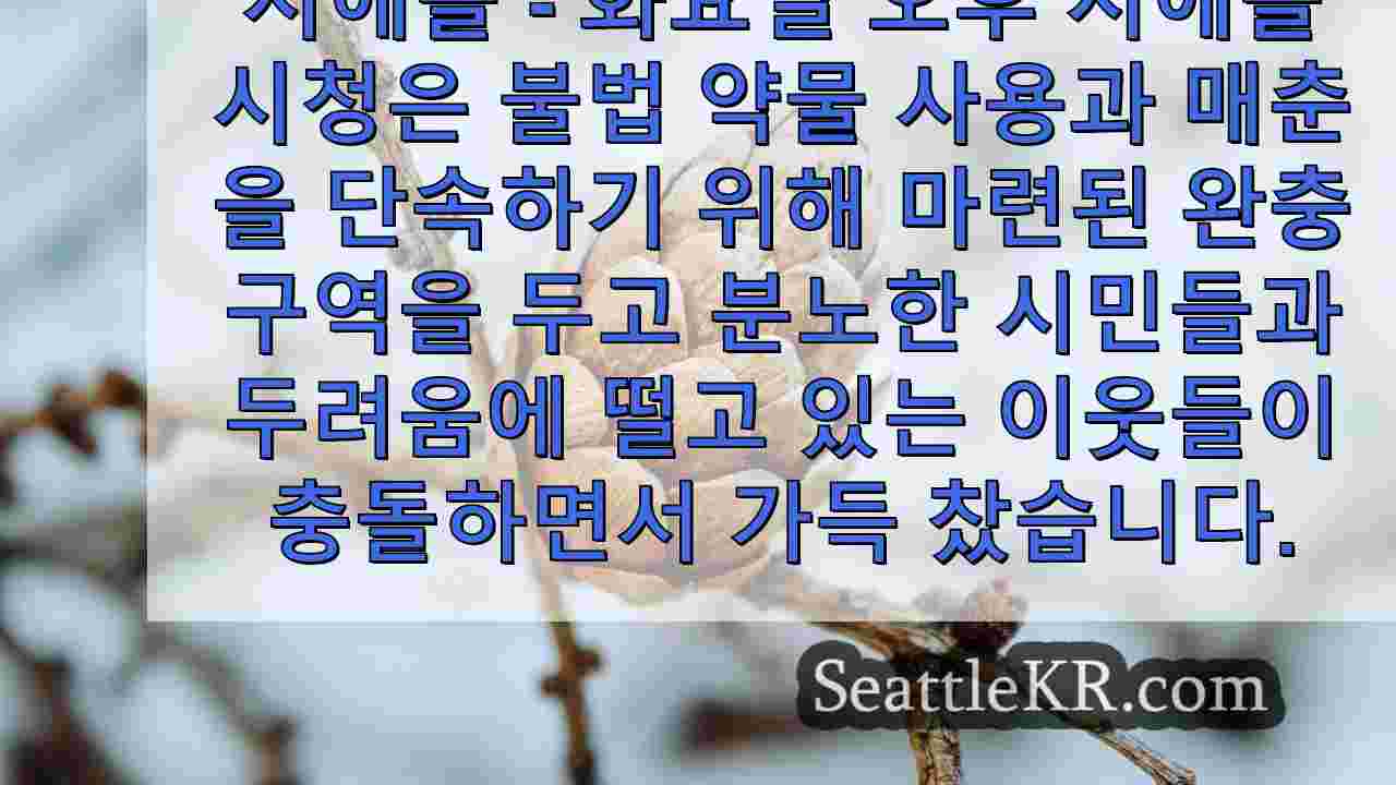 시애틀 뉴스 SeattleKR