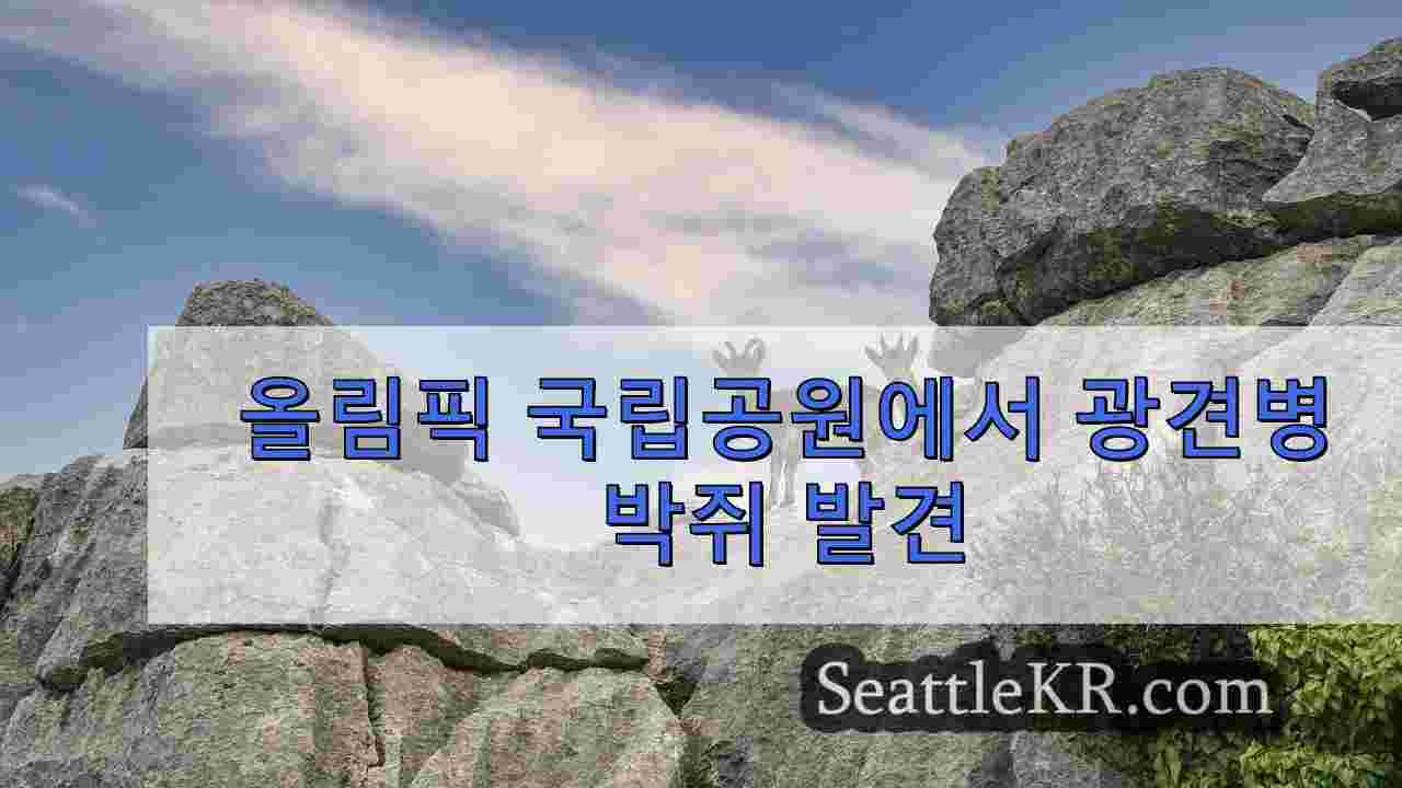 시애틀 뉴스 SeattleKR