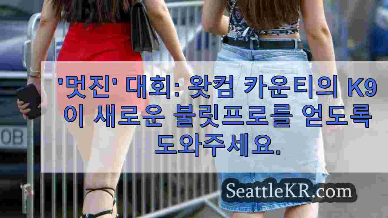 시애틀 뉴스 SeattleKR