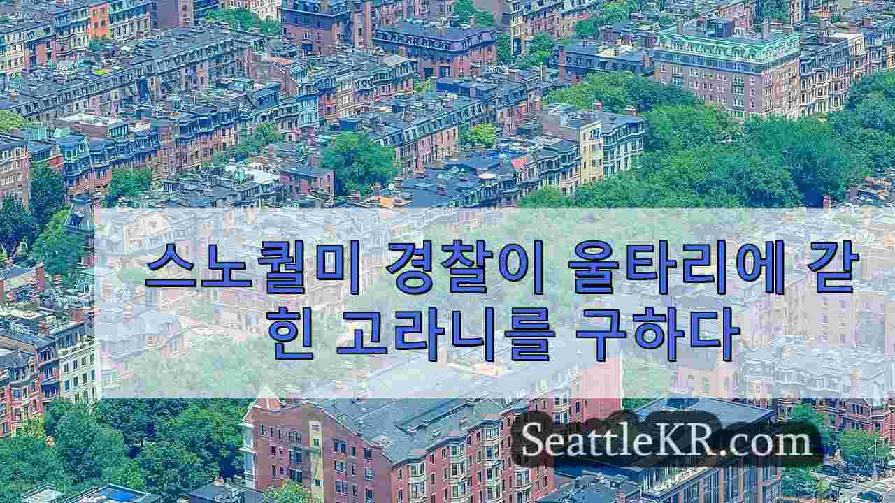 시애틀 뉴스 SeattleKR