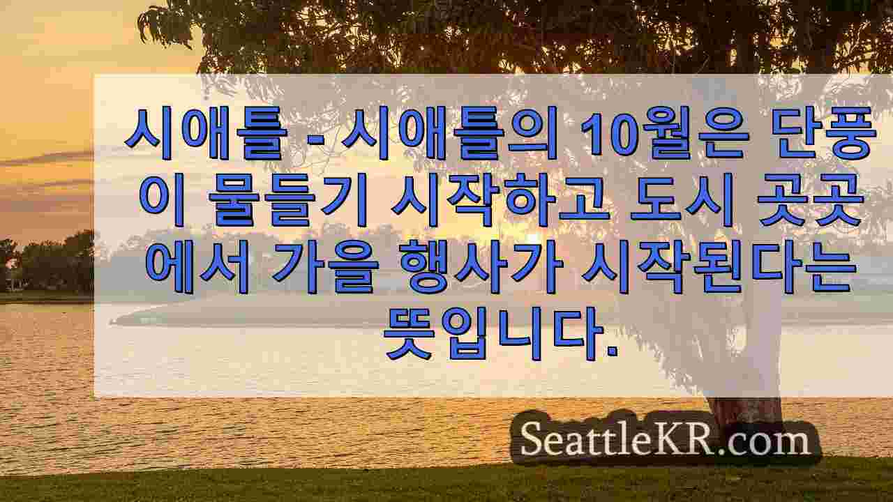 시애틀 뉴스 SeattleKR