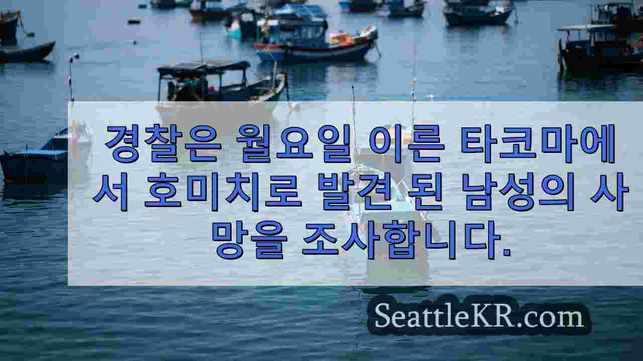 시애틀 뉴스 SeattleKR