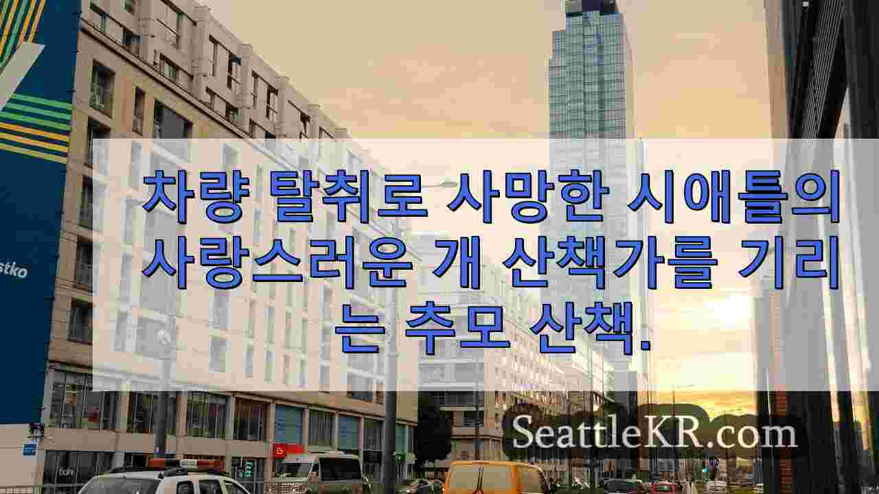 시애틀 뉴스 SeattleKR