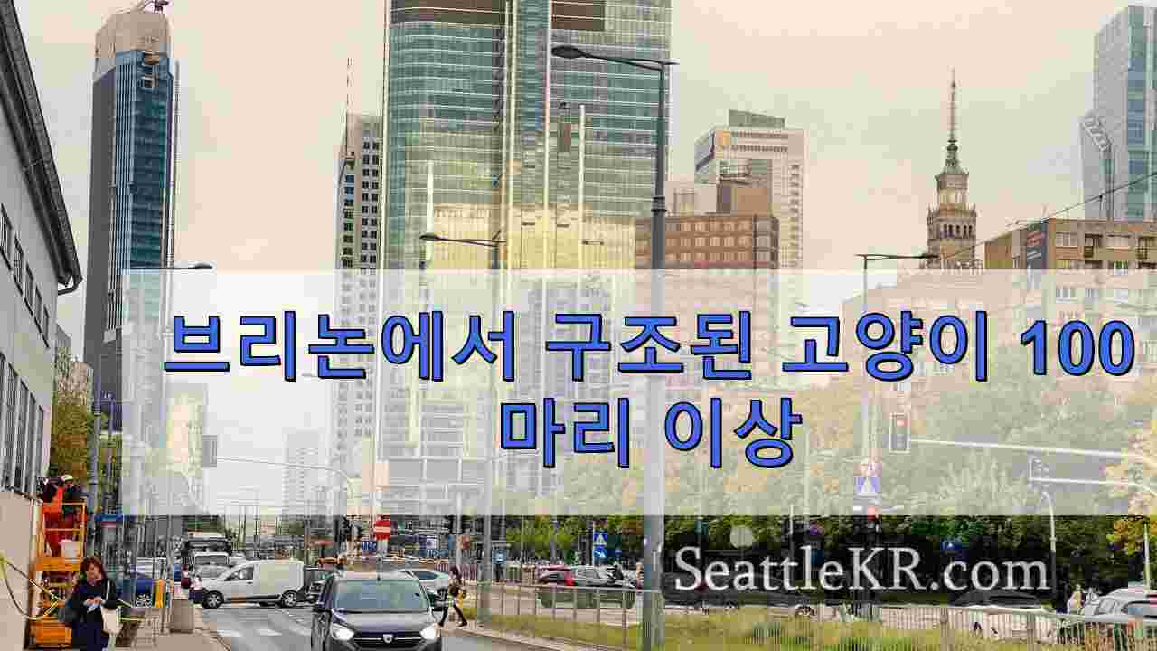 시애틀 뉴스 SeattleKR