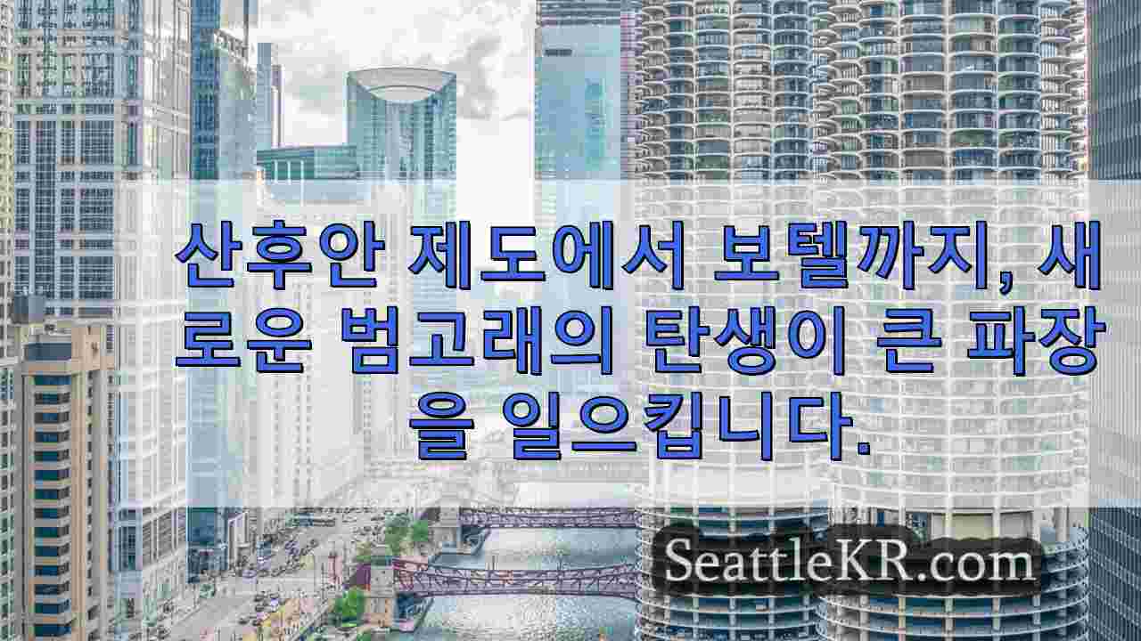 시애틀 뉴스 SeattleKR