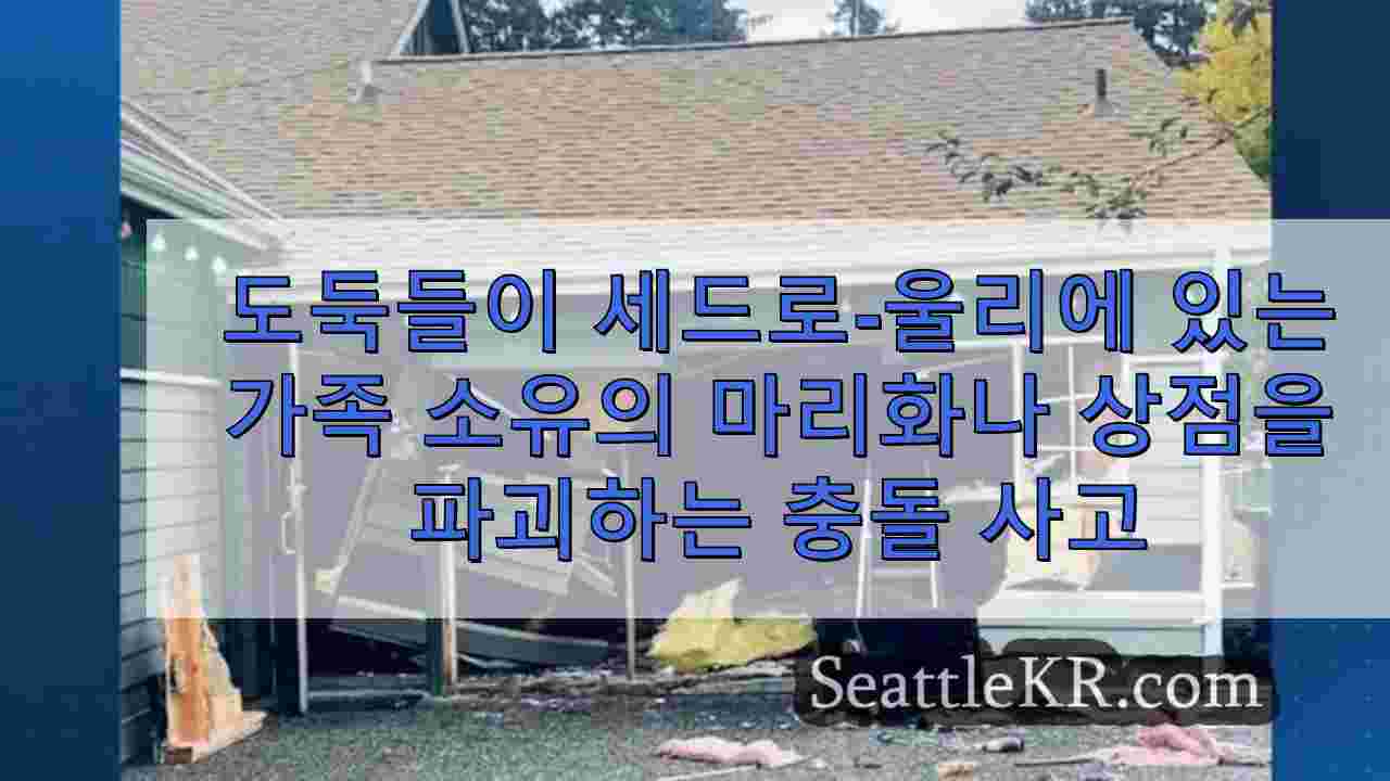 도둑들이 세드로 울리에서 가족 소유의 마리화나 상점을 파괴하고 강도를