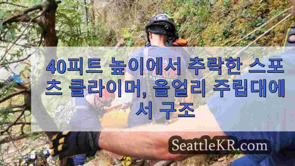 40피트 높이에서 추락한 스포츠 클라이머, 올얼리 주립대에서 구조