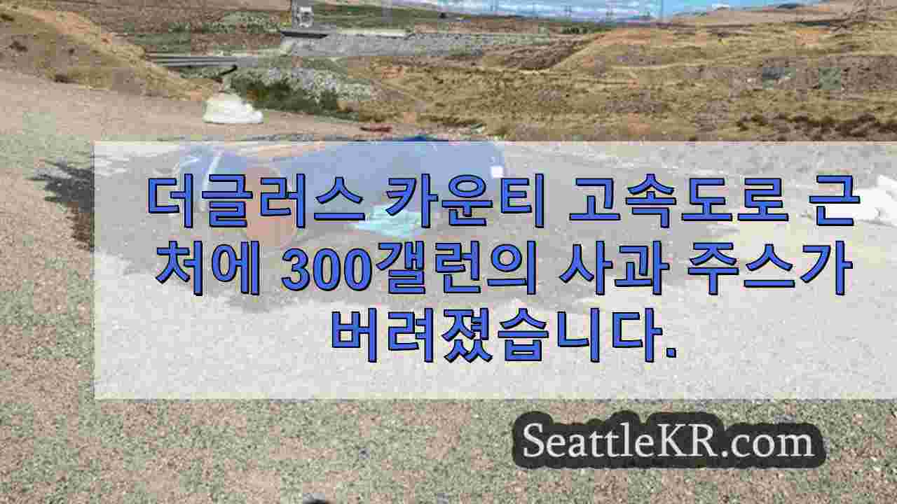 시애틀 뉴스 SeattleKR