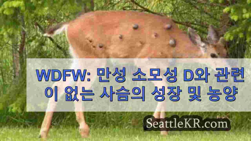 WDFW: 만성 소모성 질병과 관련이 없는 사슴의 성장과 농양