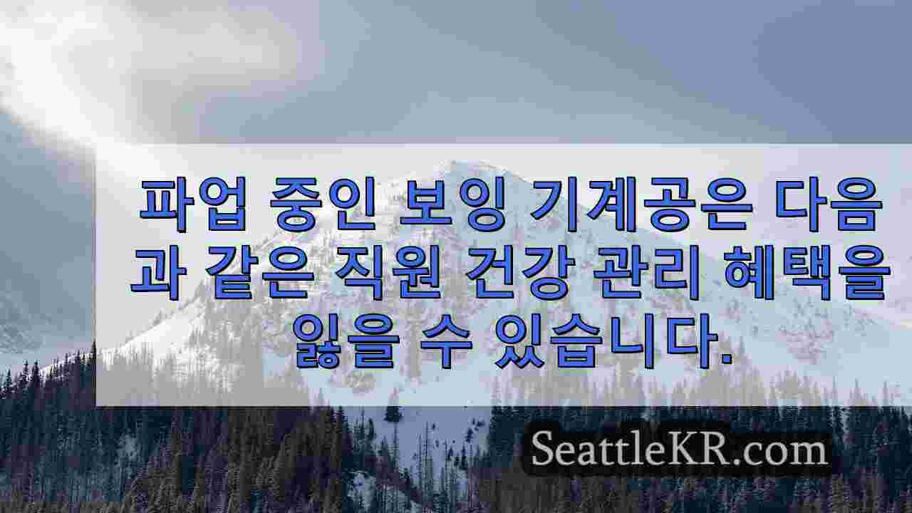 시애틀 뉴스 SeattleKR