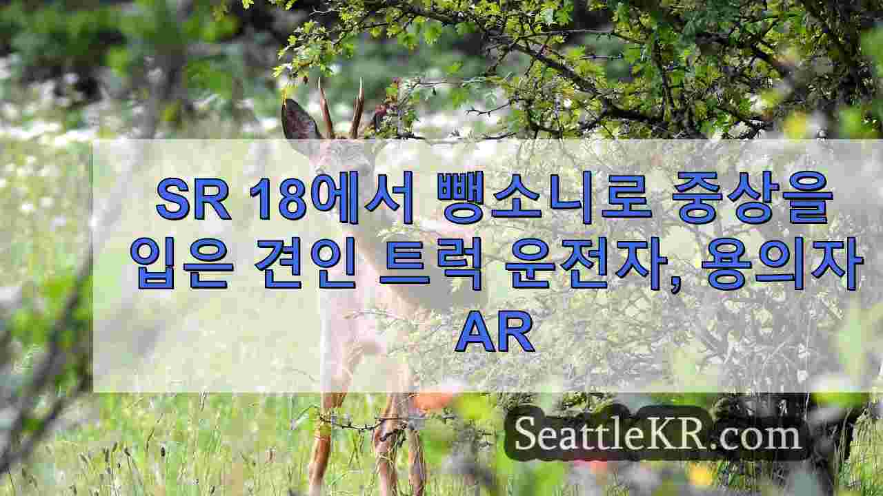 시애틀 뉴스 SeattleKR