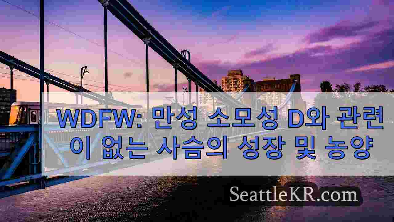 시애틀 뉴스 SeattleKR