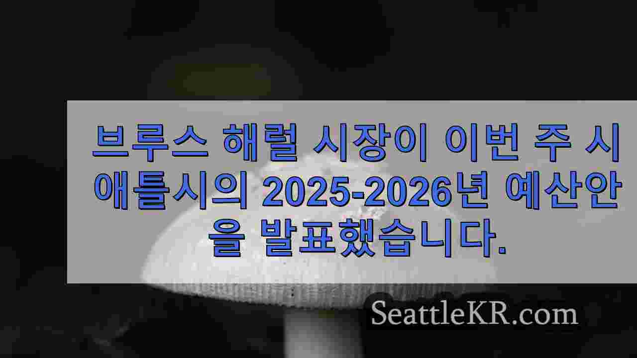 시애틀 뉴스 SeattleKR
