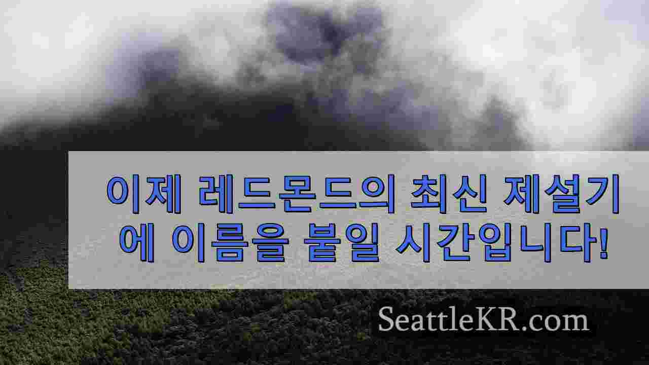 시애틀 뉴스 SeattleKR