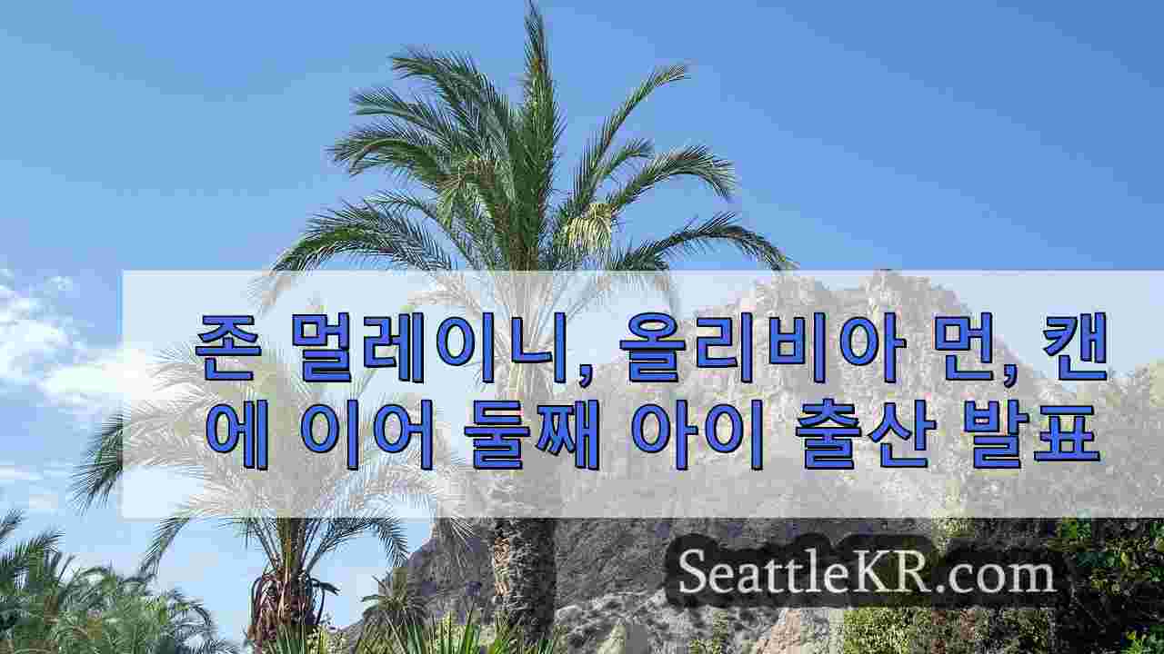 시애틀 뉴스 SeattleKR