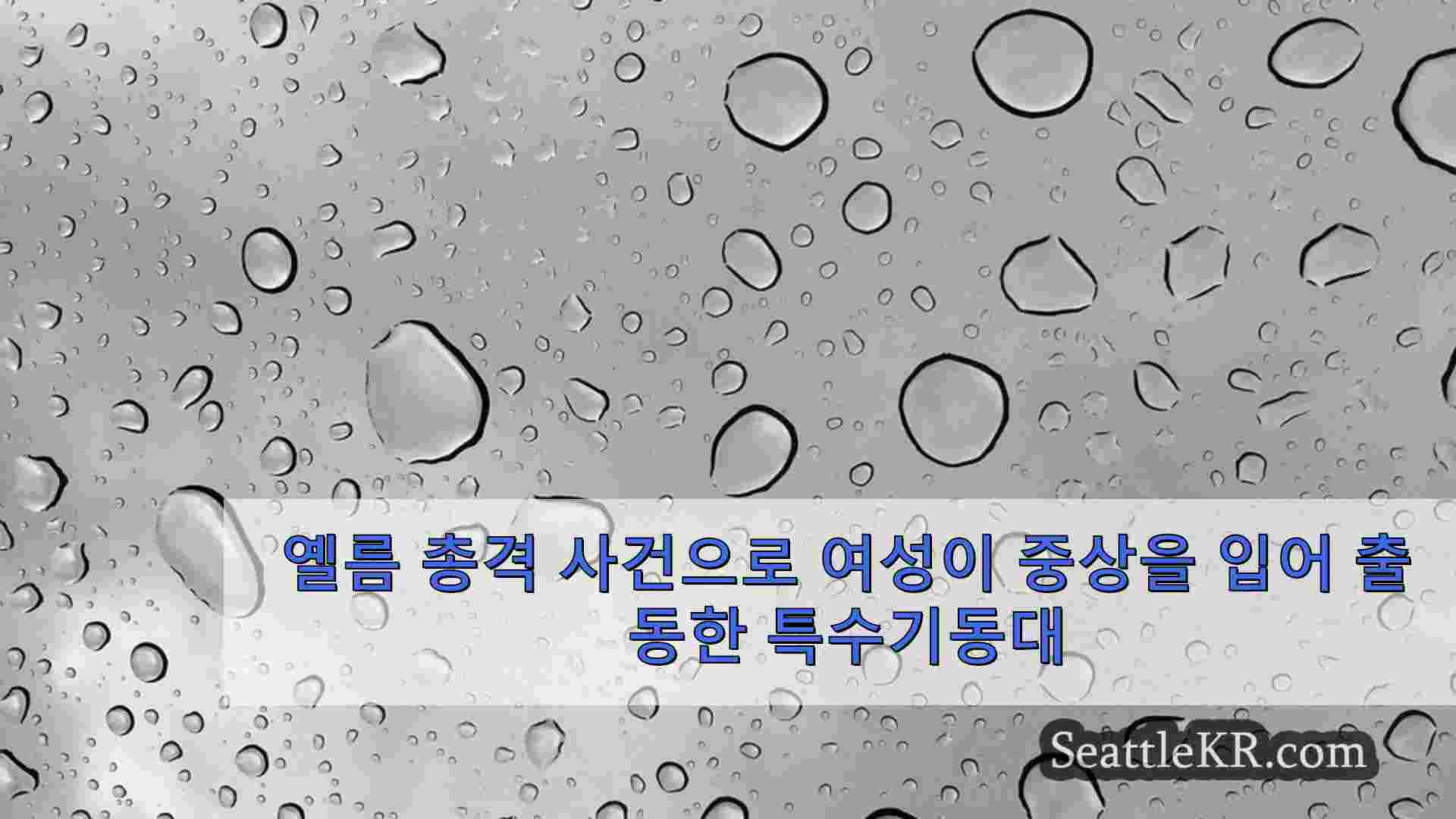시애틀 뉴스 SeattleKR