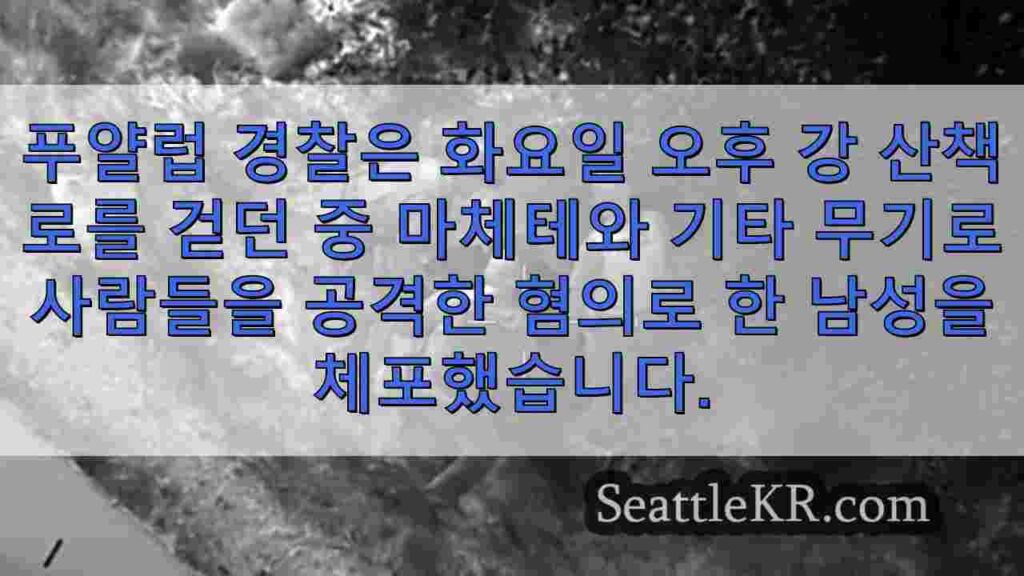 푸얄럽 강 산책로에서 마체테, 손도끼 공격 혐의로 체포된 남성