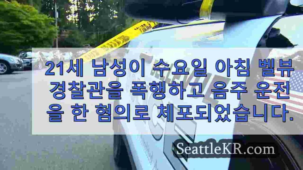 벨뷰 경찰관 폭행, 음주운전 혐의로 체포된 남성