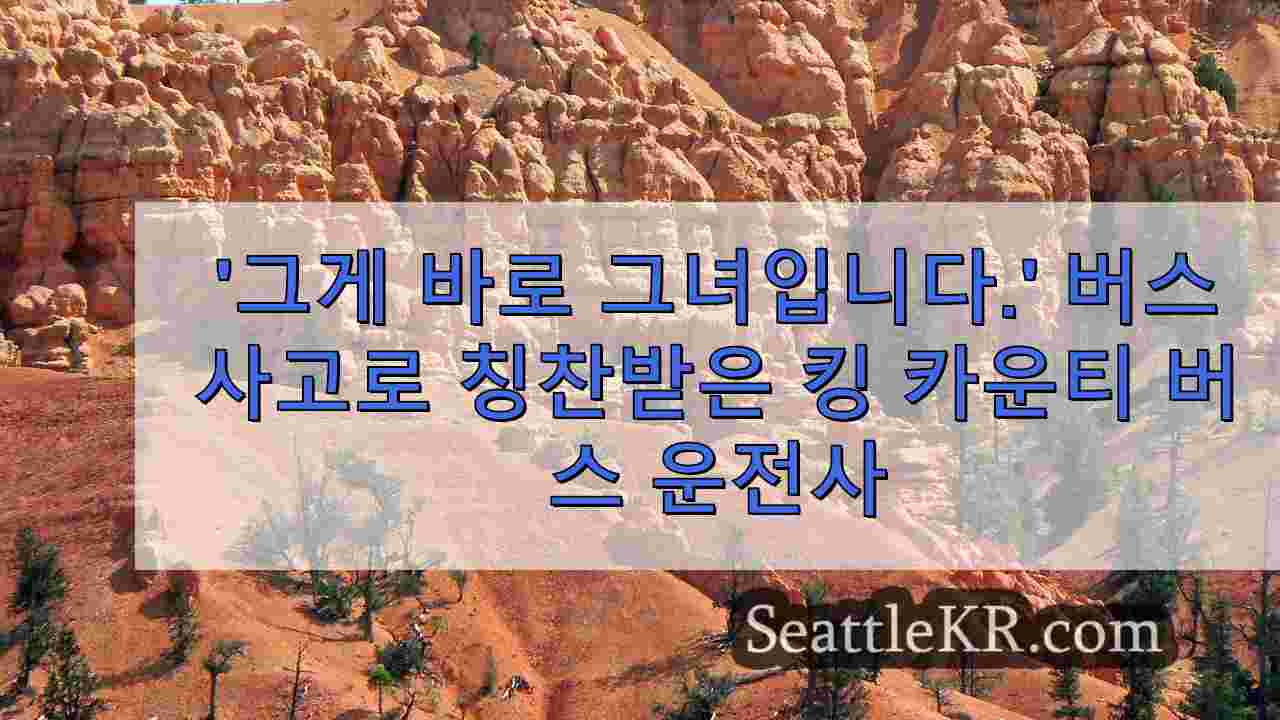 시애틀 뉴스 SeattleKR