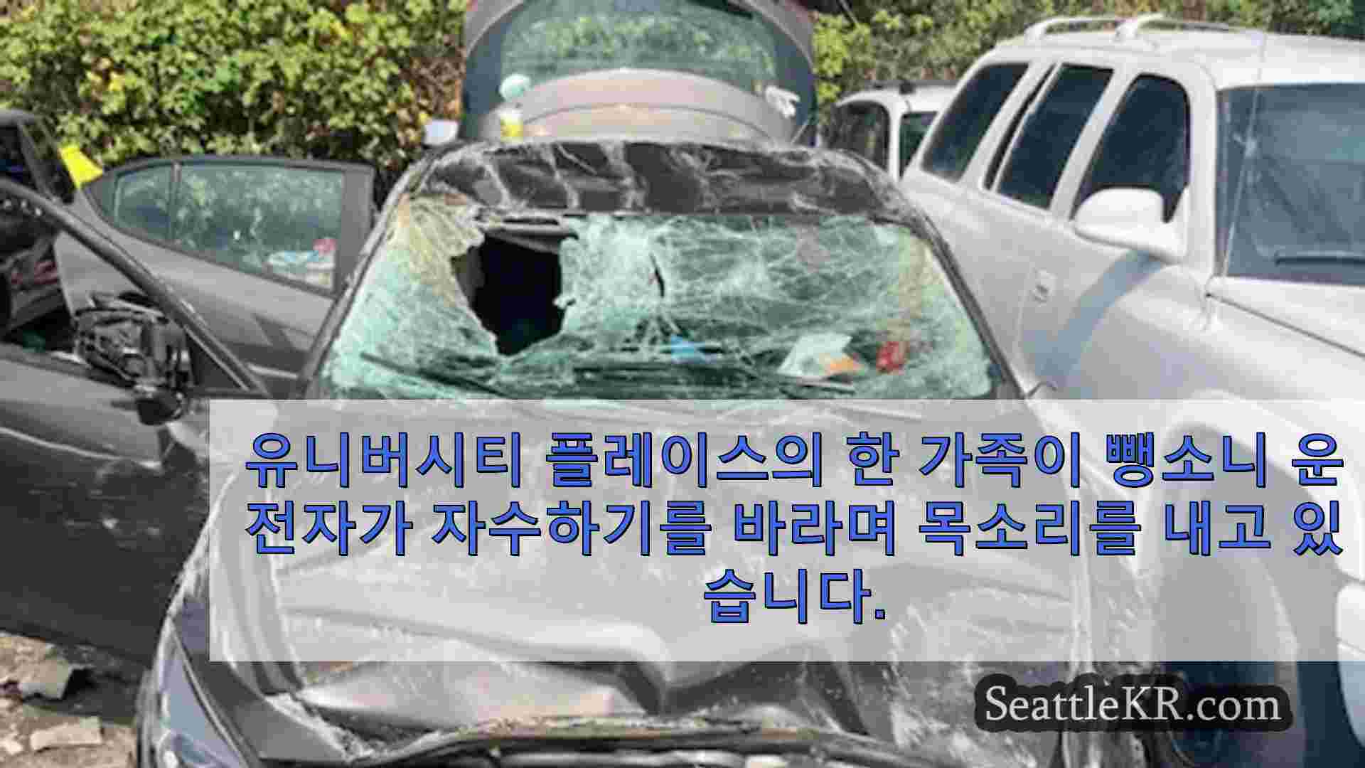 시애틀 뉴스 SeattleKR