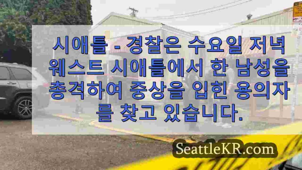 경찰, 웨스트 시애틀에서 총격 용의자 수색, 부상자 1명 발생