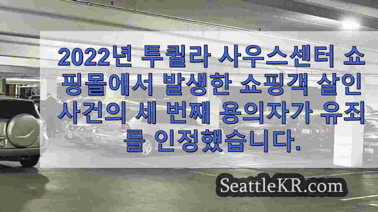 피해자 미망인을 조롱한 십대 2022 년 사우스 센터 쇼핑몰 살인 사건에서 유죄 인정