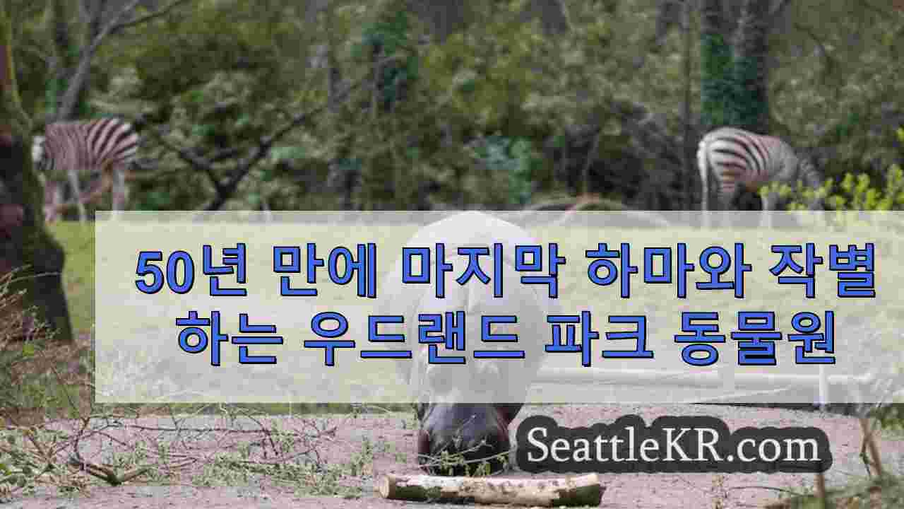 시애틀 뉴스 SeattleKR