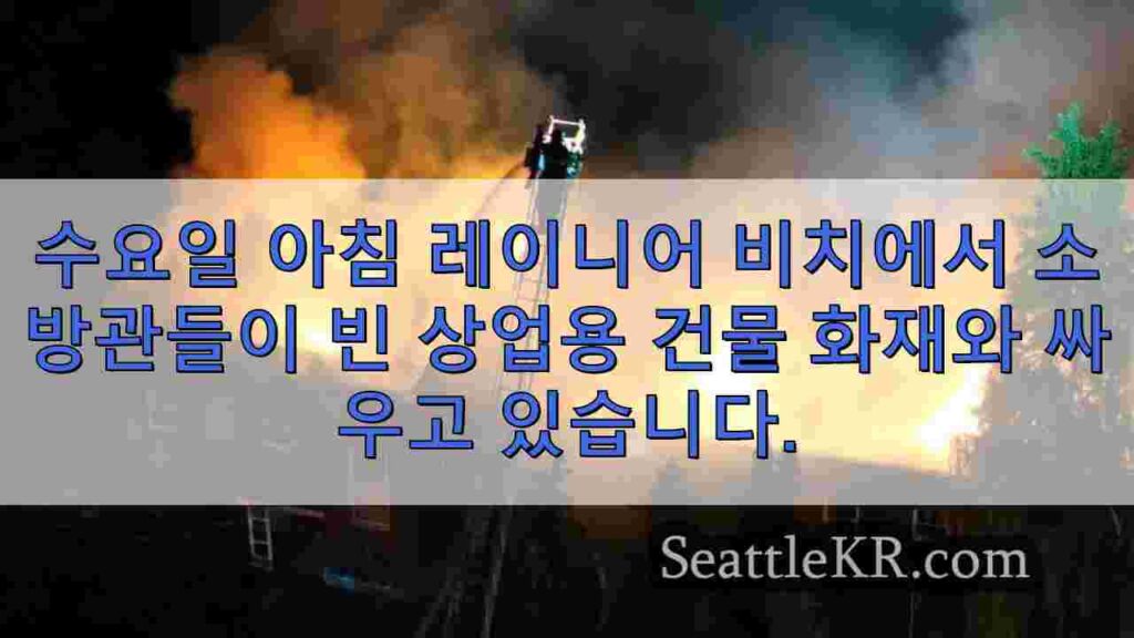 레이너 비치의 빈 상업용 건물에서 화재와 싸우는 소방관들