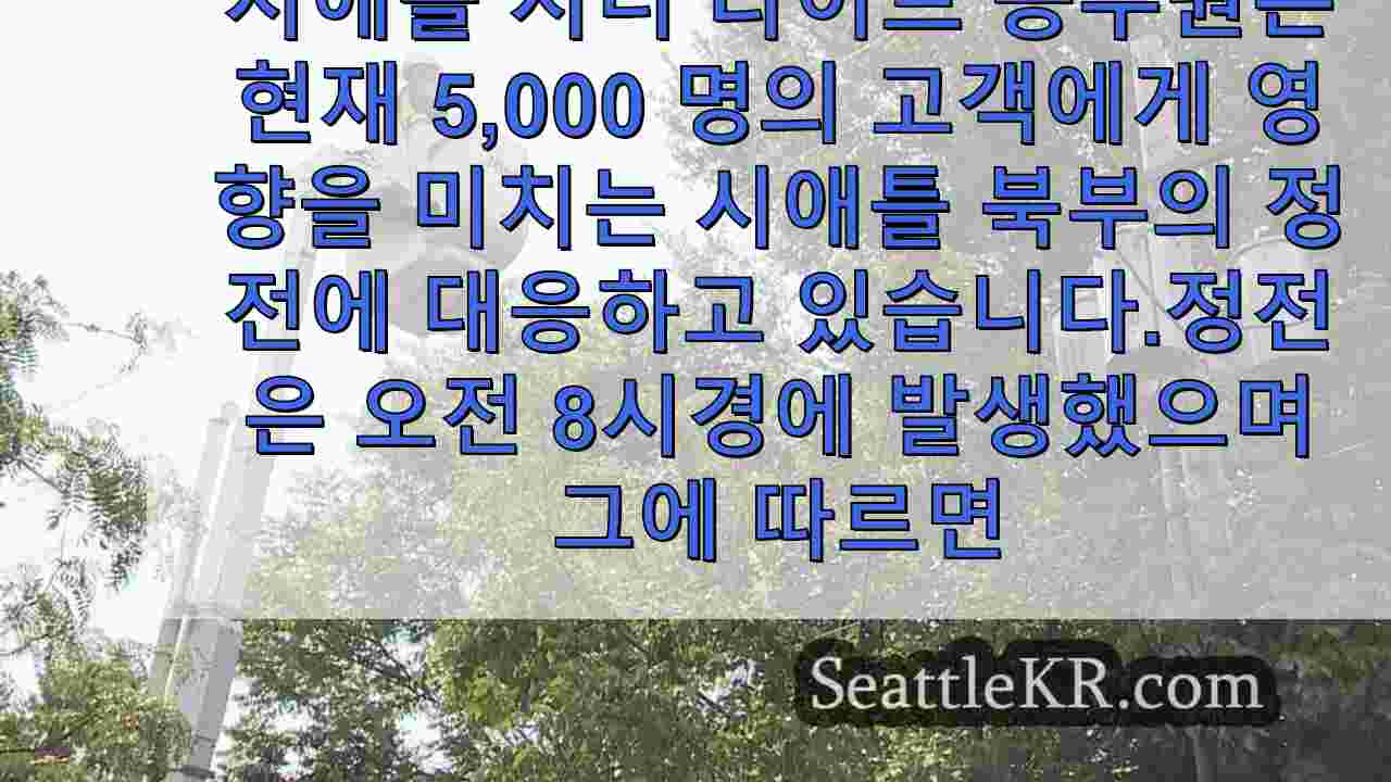 시애틀 시티 라이트, 아침 정전으로 5,000명의 고객 피해 발생