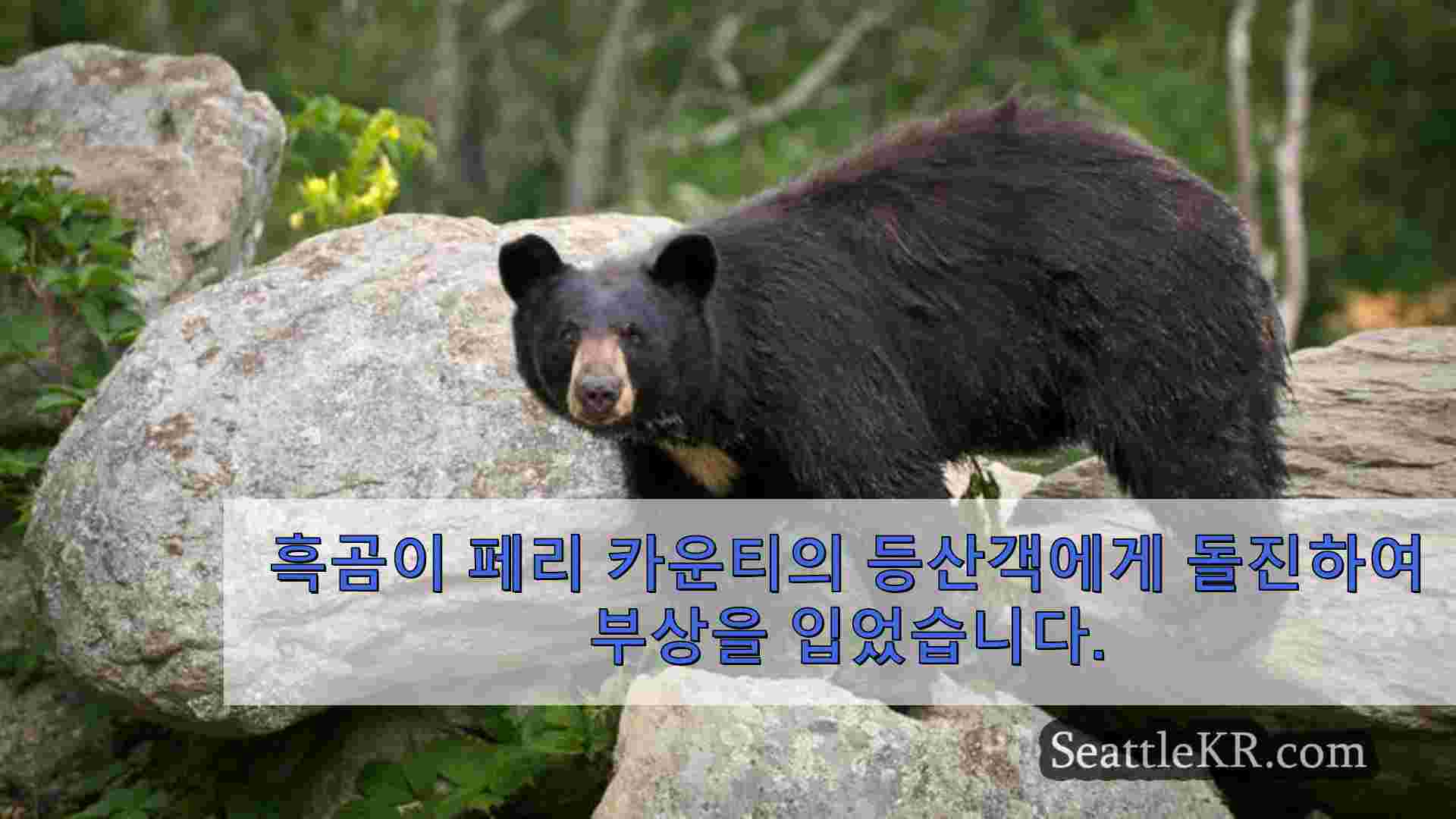 흑곰이 페리 카운티의 등산객에게 돌진하여 부상을 입었습니다.