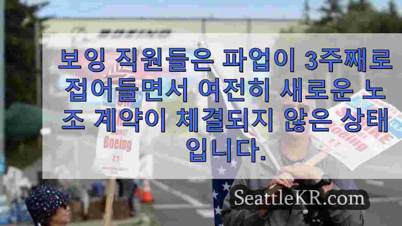 시애틀 뉴스 SeattleKR