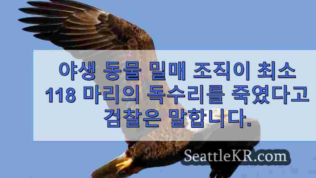 야생 동물 밀매 조직이 최소 118 마리의 독수리를 죽였다고 검찰은