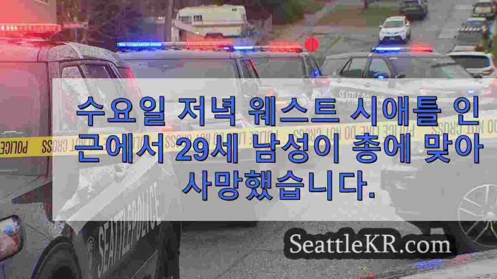 웨스트 시애틀 주방에서 치명적인 총격을당한 남성, 용의자는 무장 한