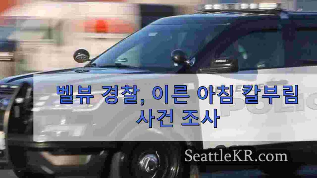 벨뷰 경찰, 이른 아침 칼부림 사건 조사
