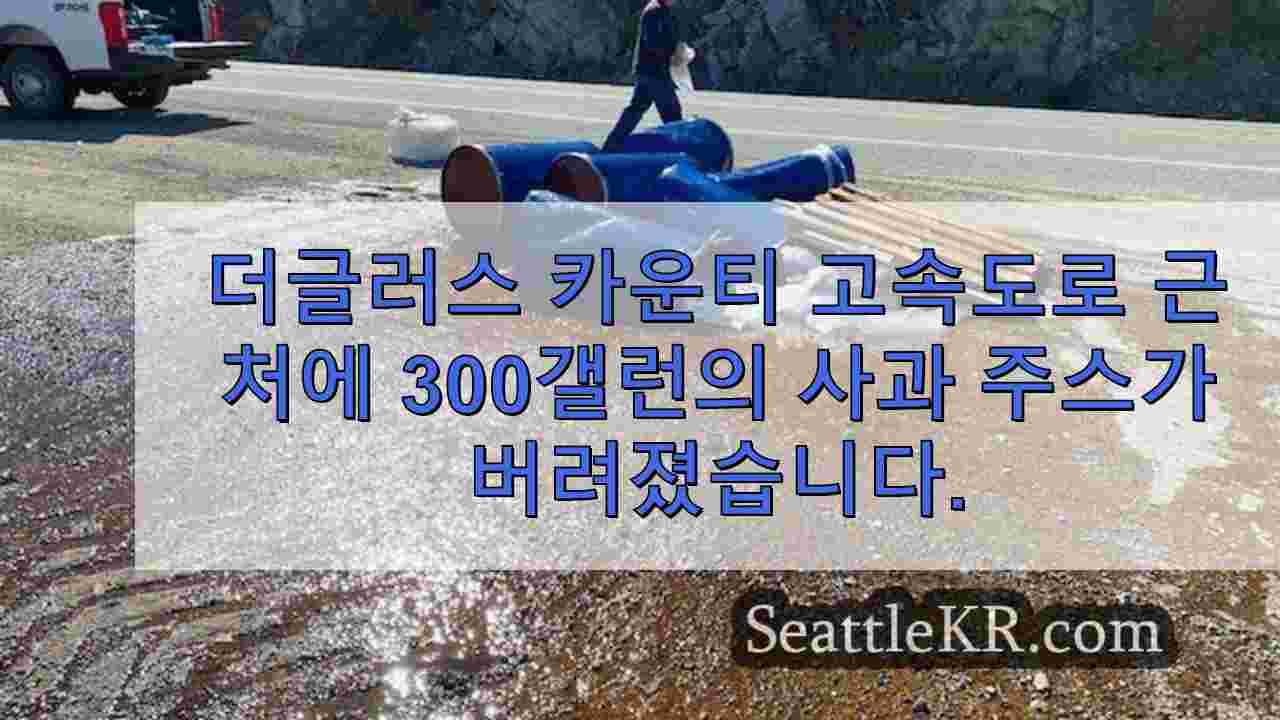 시애틀 뉴스 SeattleKR