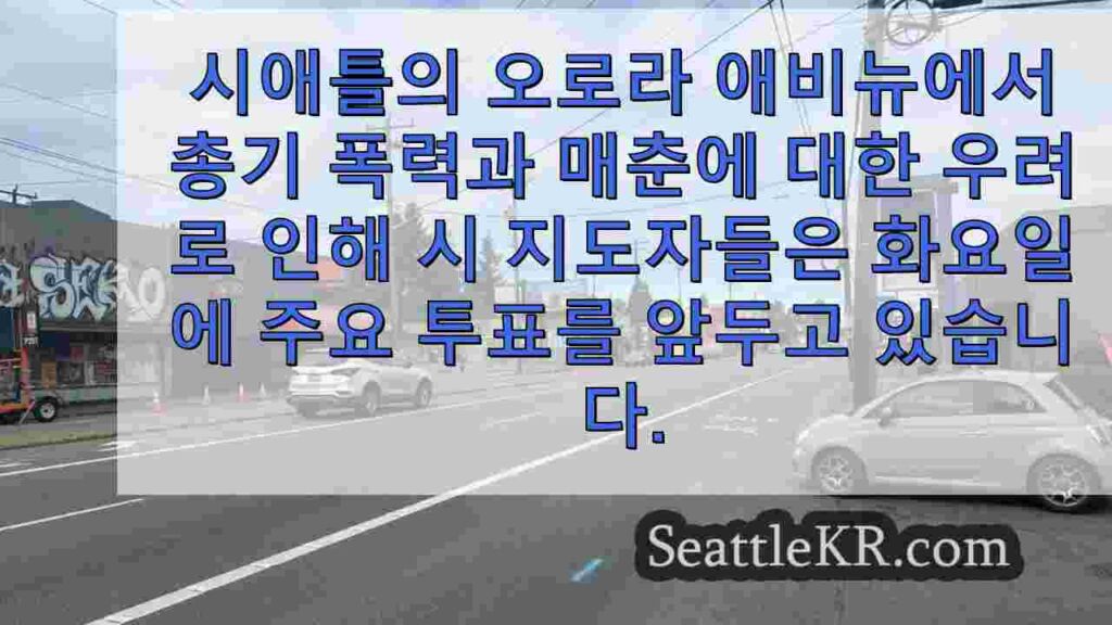 오로라 애비뉴 매춘 금지 법안이 성 노동자 보호를 위한 개정안을