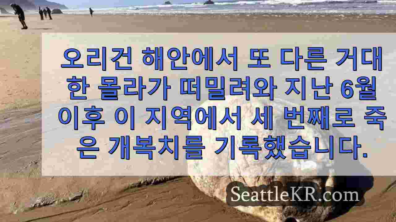 시애틀 뉴스 SeattleKR