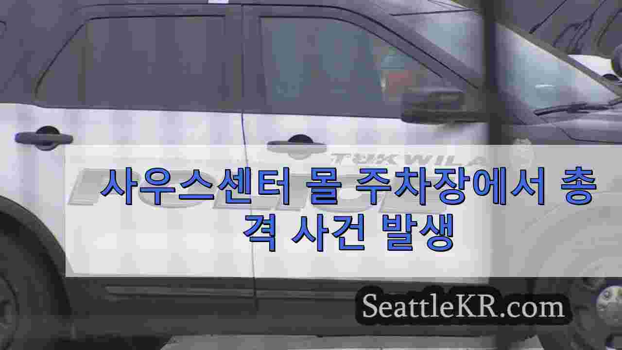 사우스센터 몰 주차장에서 총격 사건 발생