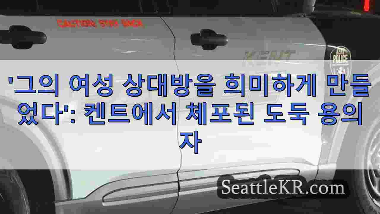 '그의 여성 상대방을 희미하게 만들었다': 켄트에서 체포된 도둑 용의자