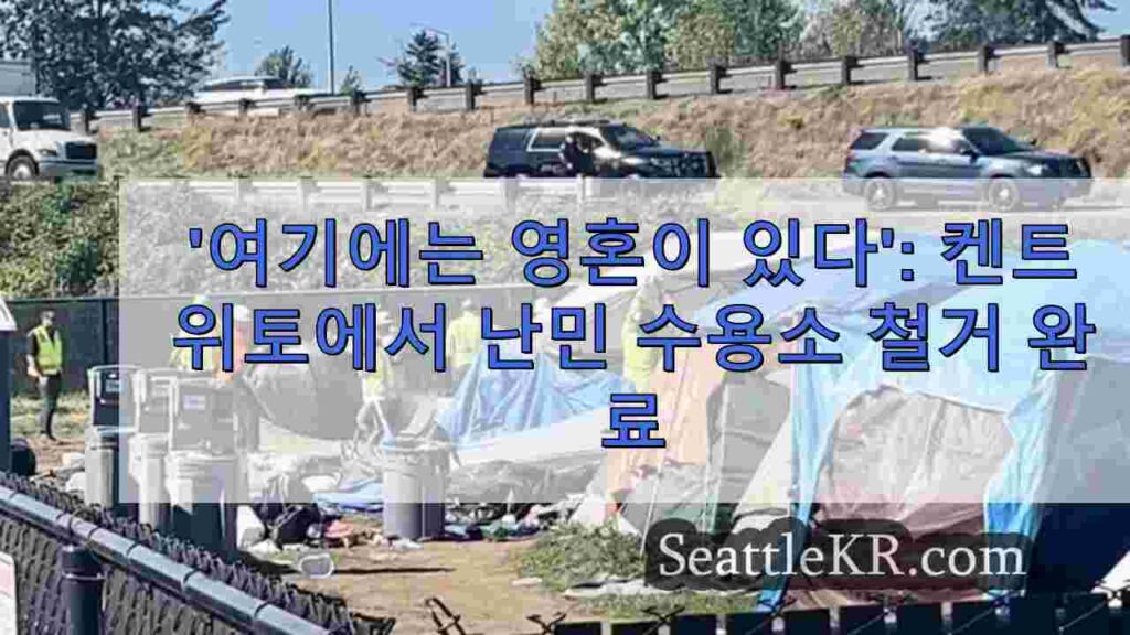 '여기 영혼이 있다': 해결책 없이 켄트에서 난민 수용소 철거된 난민들