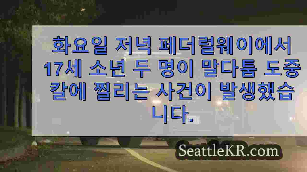 시애틀 뉴스 SeattleKR