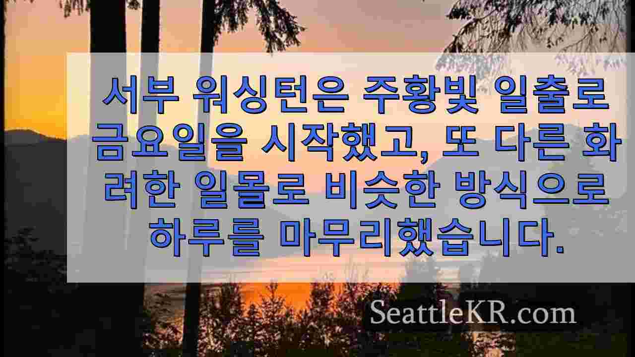 시애틀 뉴스 SeattleKR